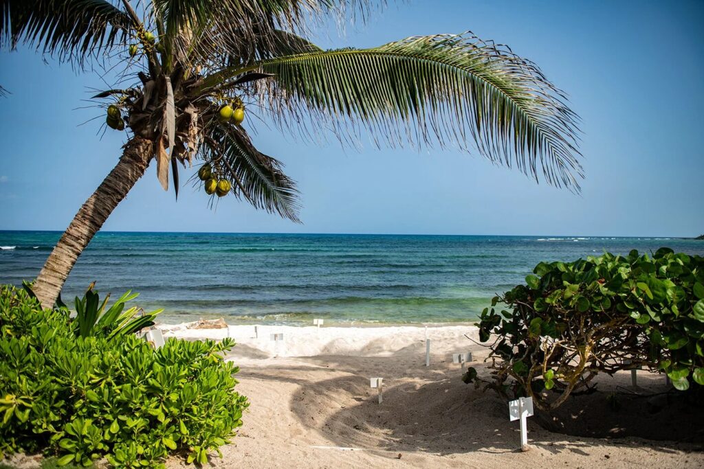 What to Do in Akumal in 3 Days: A Complete Itinerary