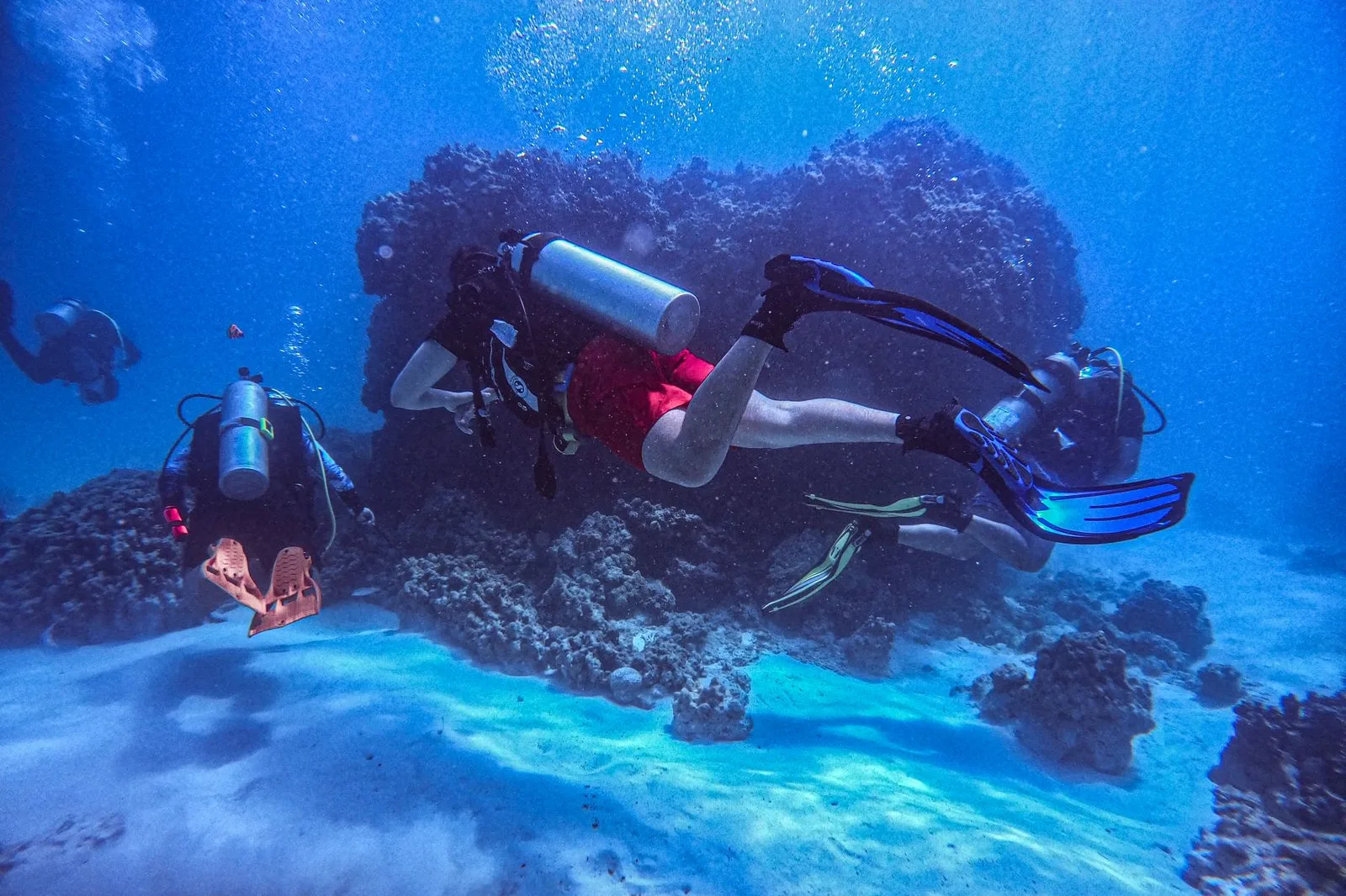 Buzos explorando un arrecife de coral en agua profunda