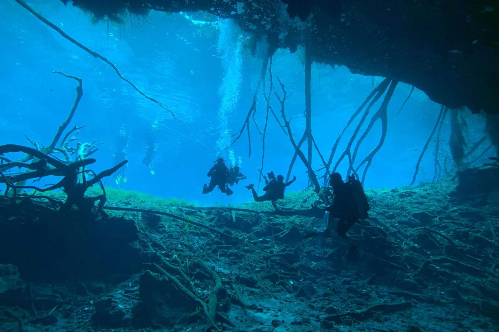 Buzos en la entrada de una cueva inundada de agua clara